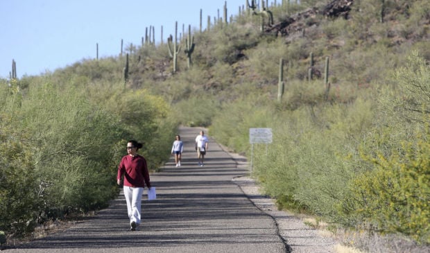 Tucson in 100 Objects